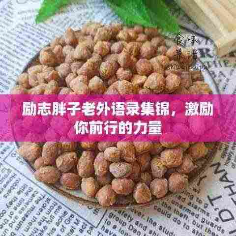 励志胖子老外语录集锦,激励你前行的力量