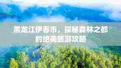 黑龙江伊春市，探秘森林之都的绝美旅游攻略