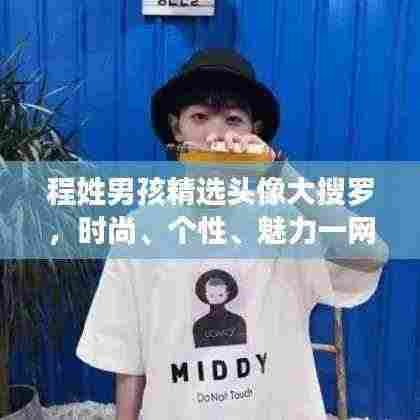 程姓男孩精选头像大搜罗,时尚、个性、魅力一网打尽!