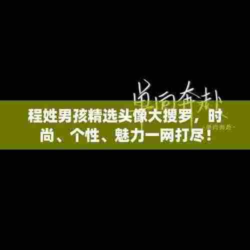 程姓男孩精选头像大搜罗,时尚、个性、魅力一网打尽!