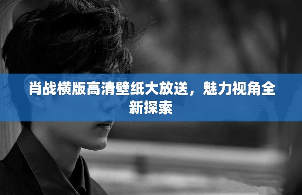 肖战横版高清壁纸大放送,魅力视角全新探索