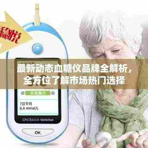 最新动态血糖仪品牌全解析,全方位了解市场热门选择