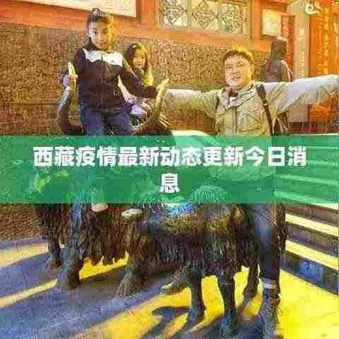 打张鸡儿 第3页