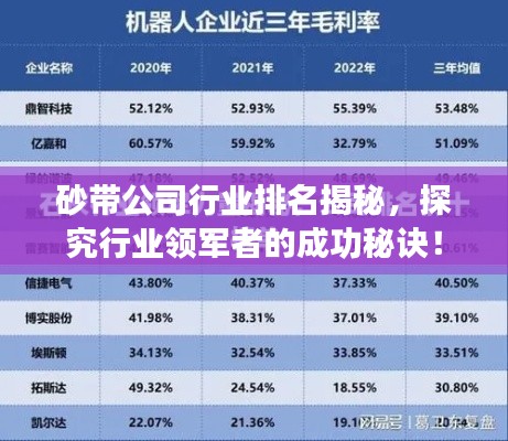 砂带公司行业排名揭秘,探究行业领军者的成功秘诀!