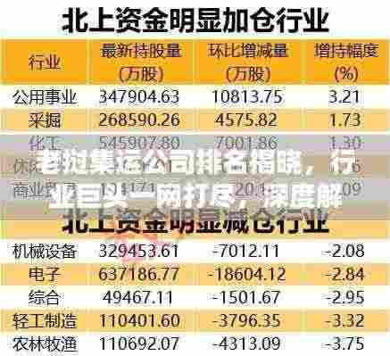 老挝集运公司排名揭晓,行业巨头一网打尽,深度解析服务细节!