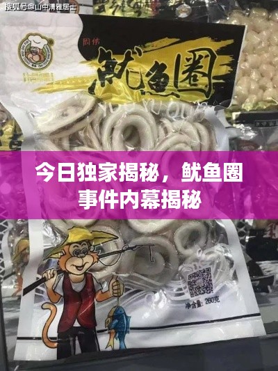 今日独家揭秘,鱿鱼圈事件内幕揭秘
