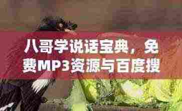 八哥学说话宝典，免费MP3资源与百度搜寻全攻略