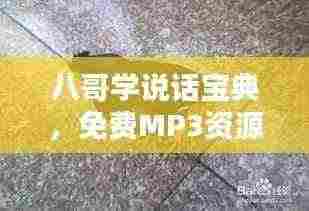 八哥学说话宝典,免费MP3资源与百度搜寻全攻略