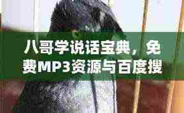 八哥学说话宝典,免费MP3资源与百度搜寻全攻略