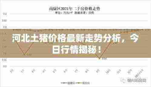 河北土猪价格最新走势分析,今日行情揭秘!
