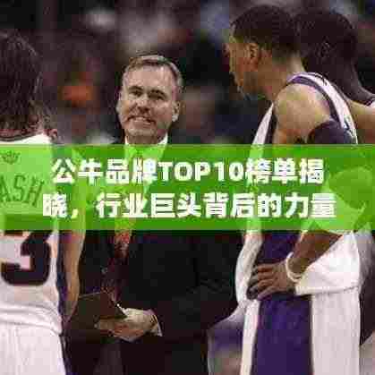 公牛品牌TOP10榜单揭晓,行业巨头背后的力量揭秘