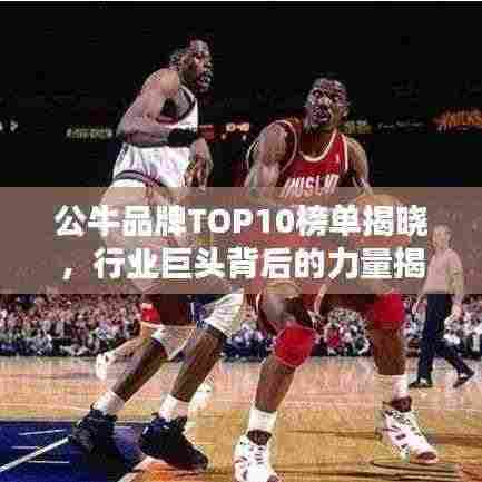 公牛品牌TOP10榜单揭晓,行业巨头背后的力量揭秘