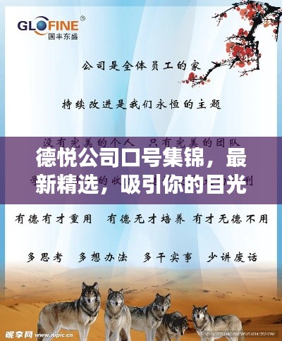 德悦公司口号集锦,最新精选,吸引你的目光!