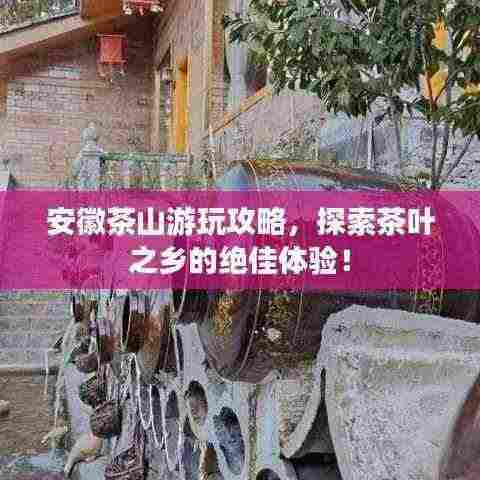 安徽茶山游玩攻略,探索茶叶之乡的绝佳体验!