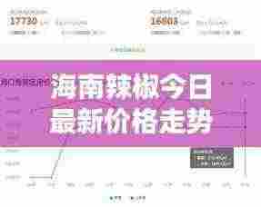 海南辣椒今日最新价格走势分析