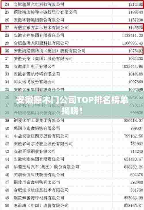 安徽原木门公司TOP排名榜单揭晓!