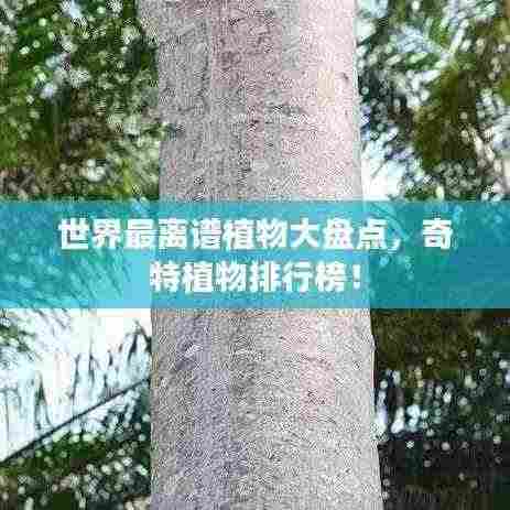 世界最离谱植物大盘点,奇特植物排行榜!