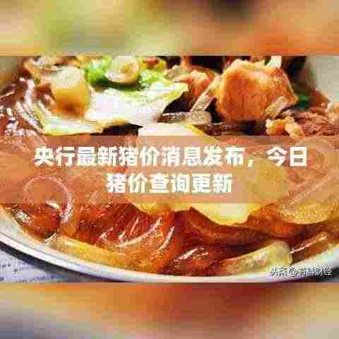 央行最新猪价消息发布，今日猪价查询更新