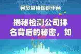 揭秘检测公司排名背后的秘密,如何识别优质检测服务提供商?