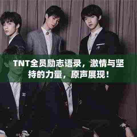 TNT全员励志语录,激情与坚持的力量,原声展现!