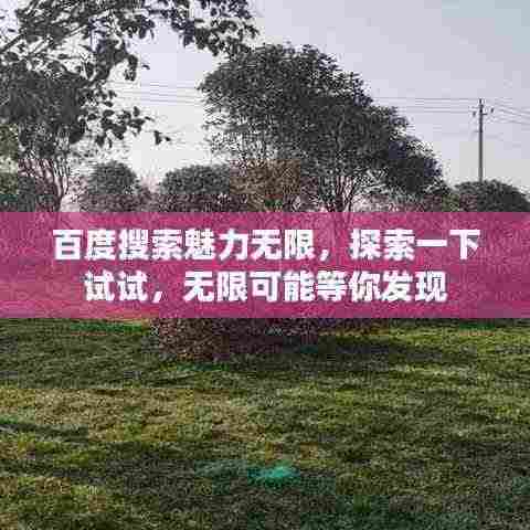 百度搜索魅力无限，探索一下试试，无限可能等你发现