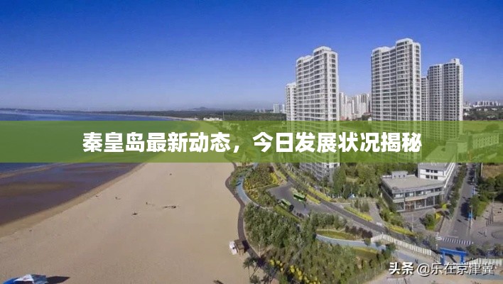 沉厚寡言 第3页