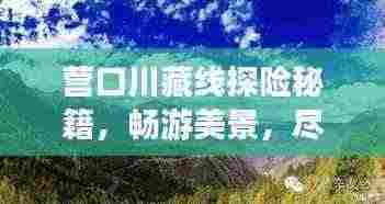 营口川藏线探险秘籍，畅游美景，尽享独特风情！