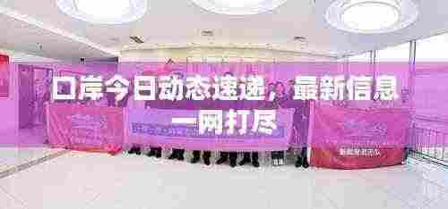 口岸今日动态速递，最新信息一网打尽