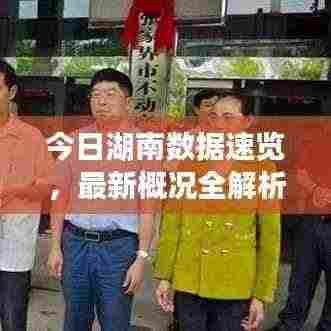 今日湖南数据速览,最新概况全解析