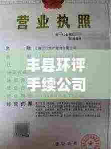 丰县环评手续公司排名大揭秘！