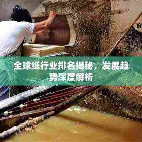 全球纸行业排名揭秘,发展趋势深度解析