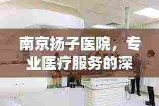 南京扬子医院，专业医疗服务的深度解析