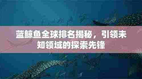 蓝鲸鱼全球排名揭秘,引领未知领域的探索先锋
