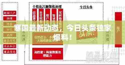 寒国最新动态,今日头条独家爆料!