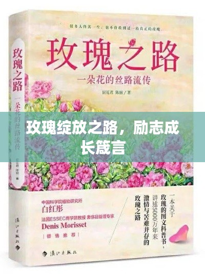 玫瑰绽放之路,励志成长箴言
