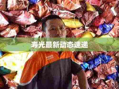 寿光最新动态速递