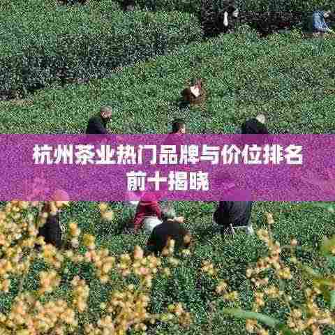 杭州茶业热门品牌与价位排名前十揭晓