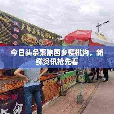 今日头条聚焦西乡樱桃沟,新鲜资讯抢先看