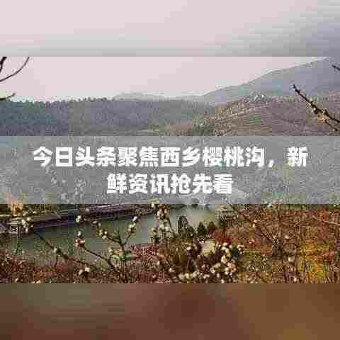 今日头条聚焦西乡樱桃沟,新鲜资讯抢先看