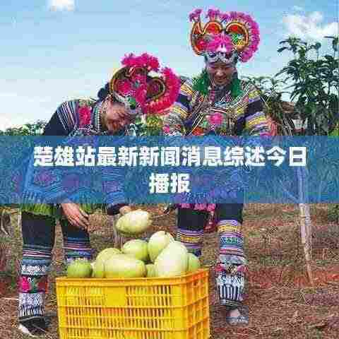 楚雄站最新新闻消息综述今日播报