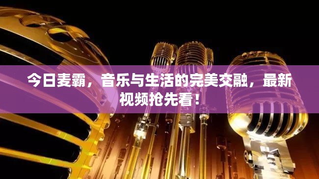 今日麦霸,音乐与生活的完美交融,最新视频抢先看!