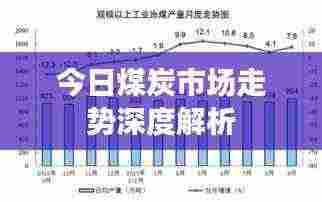 今日煤炭市场走势深度解析