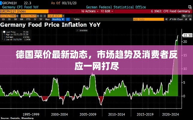 德国菜价最新动态,市场趋势及消费者反应一网打尽