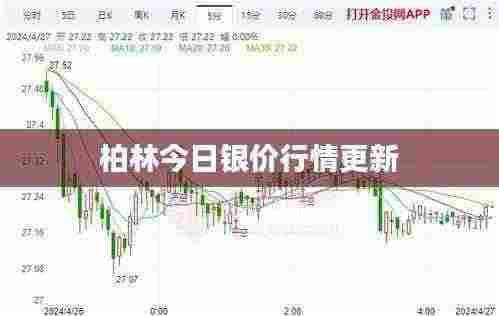柏林今日银价行情更新