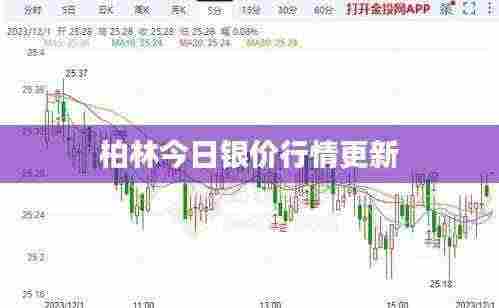 柏林今日银价行情更新
