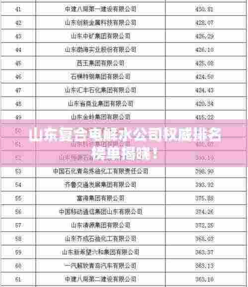 山东复合电解水公司权威排名榜单揭晓！