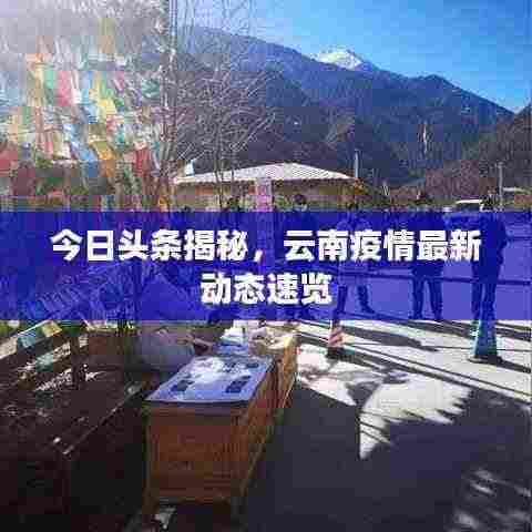 今日头条揭秘,云南疫情最新动态速览