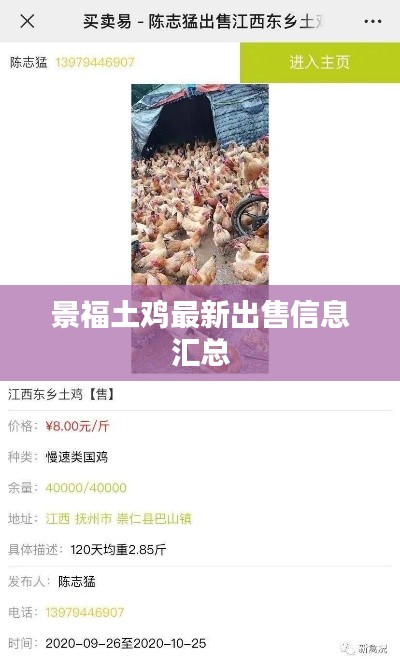 景福土鸡最新出售信息汇总
