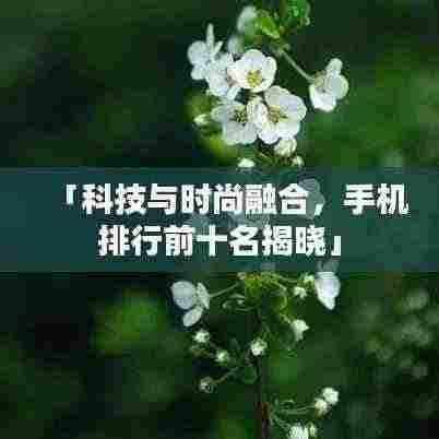「科技与时尚融合,手机排行前十名揭晓」