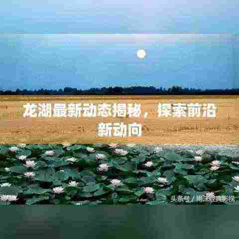 龙湖最新动态揭秘，探索前沿新动向